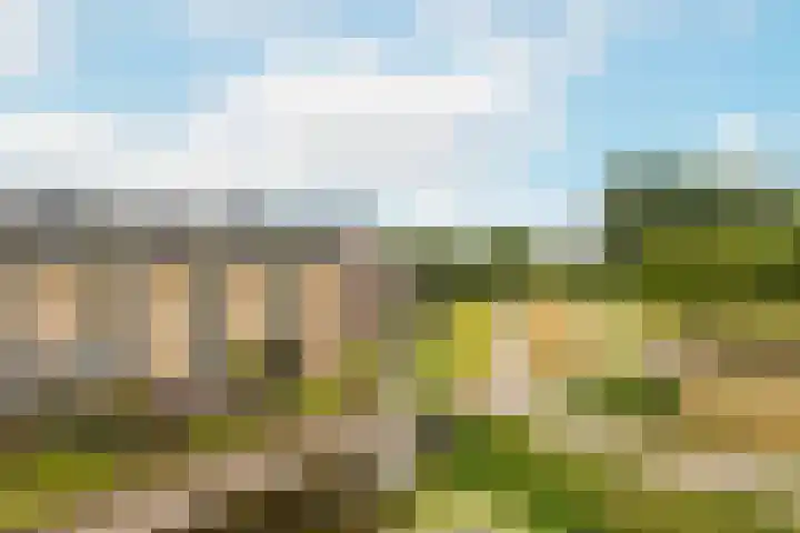 Molenvlietbrink 205 Woerden thumbnail 11