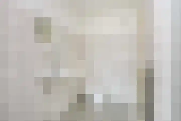 Molenvlietbrink 205 Woerden thumbnail 14