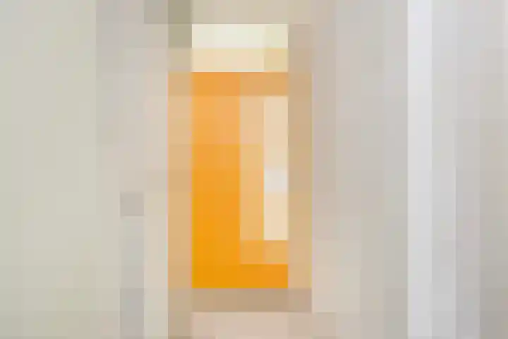 Molenvlietbrink 205 Woerden thumbnail 18