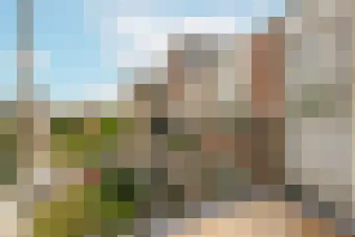 Molenvlietbrink 217 Woerden thumbnail 10