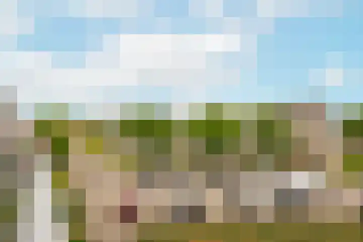 Molenvlietbrink 217 Woerden thumbnail 11