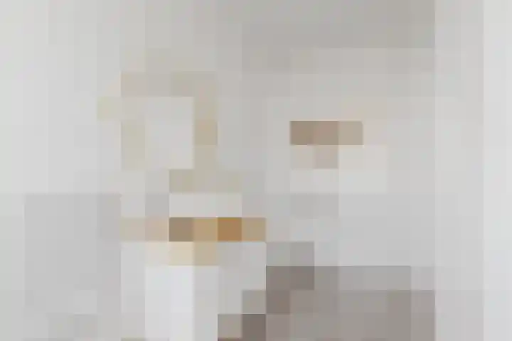 Molenvlietbrink 217 Woerden thumbnail 15