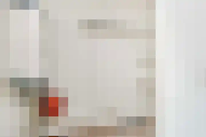 Molenvlietbrink 217 Woerden thumbnail 17