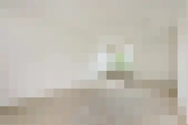 Molenvlietbrink 217 Woerden thumbnail 4