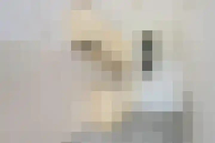Molenvlietbrink 217 Woerden thumbnail 6