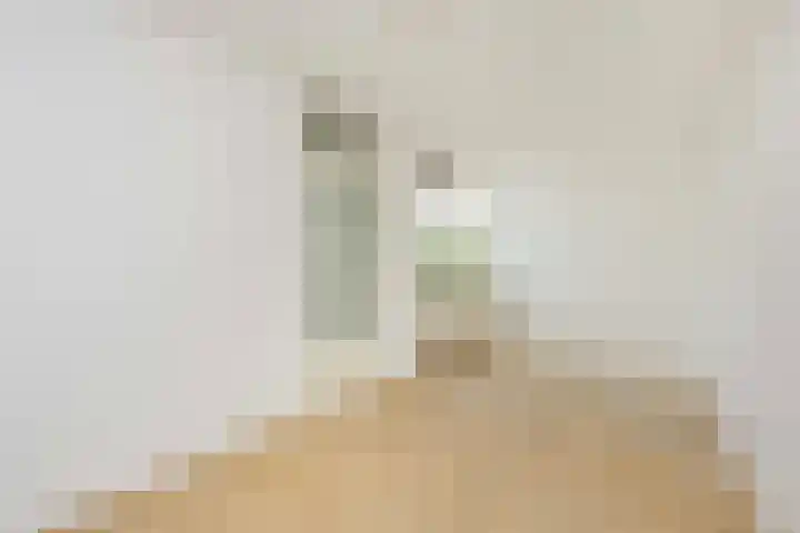 Molenvlietbrink 217 Woerden thumbnail 9