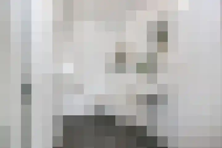 Molenvlietbrink 243 Woerden thumbnail 10