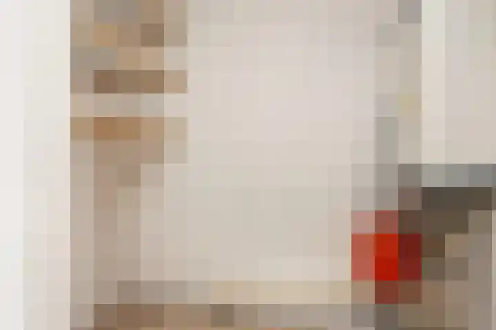Molenvlietbrink 243 Woerden thumbnail 13