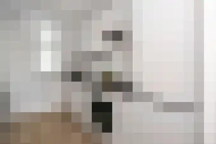 Molenvlietbrink 243 Woerden thumbnail 4