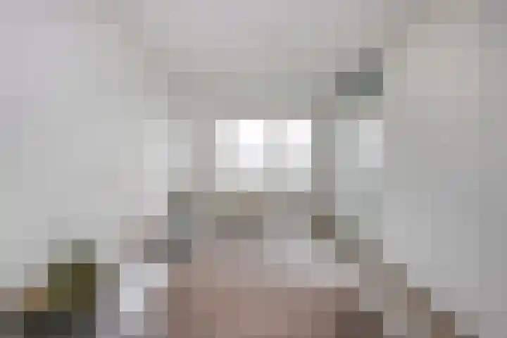 Molenvlietbrink 243 Woerden thumbnail 5