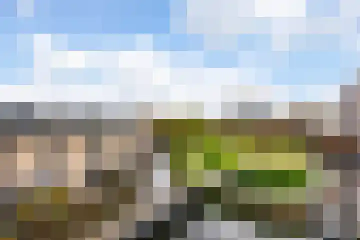 Molenvlietbrink 243 Woerden thumbnail 7
