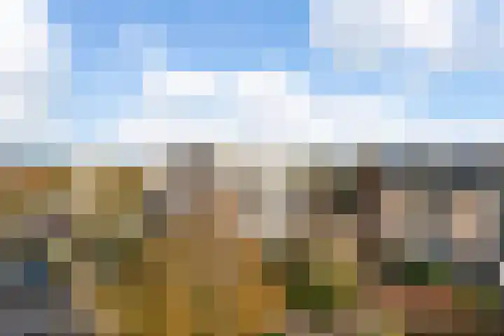 Molenvlietbrink 243 Woerden thumbnail 8