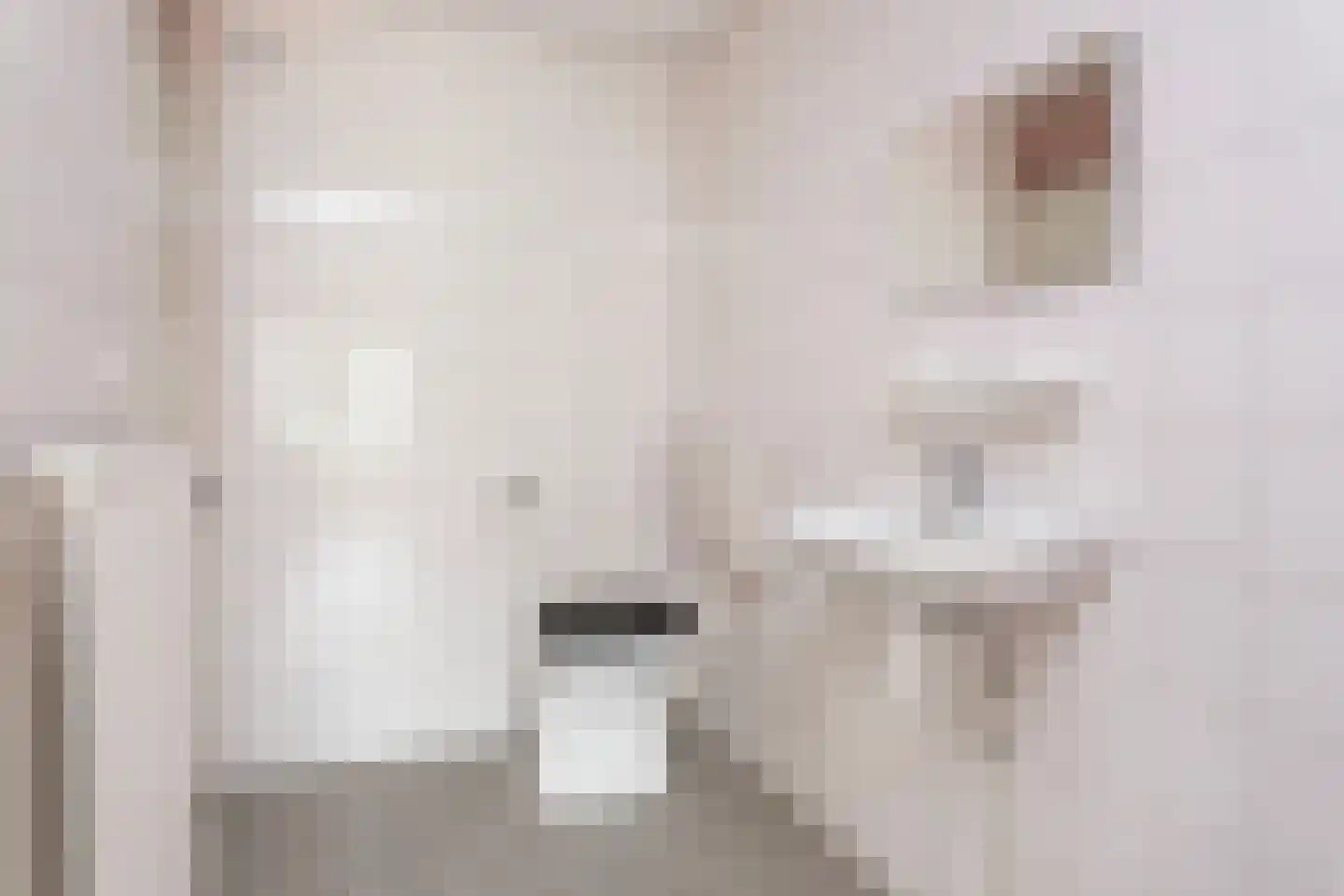 Molenvlietbrink 3 Woerden thumbnail 16