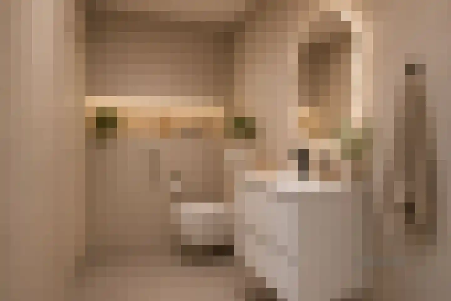 Molenvlietbrink 47 Woerden thumbnail 18