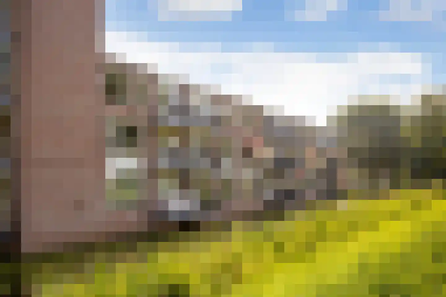 Molenvlietbrink 47 Woerden thumbnail 26