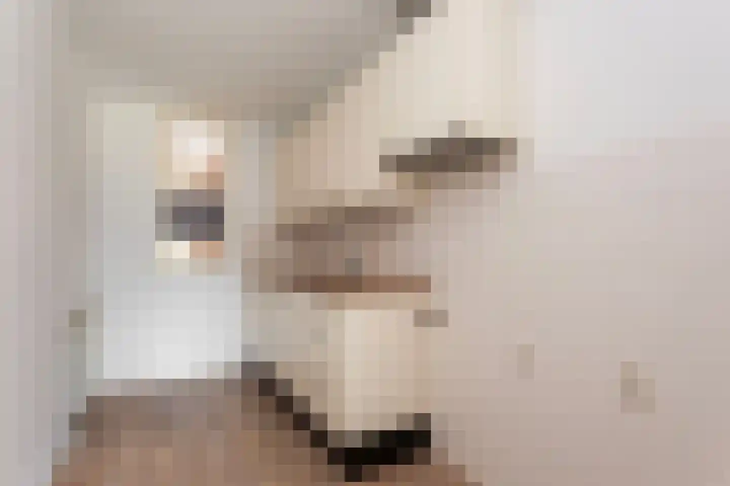 Molenvlietbrink 47 Woerden thumbnail 8