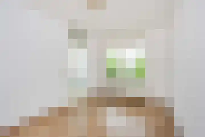 Molenvlietbrink 55 Woerden thumbnail 10