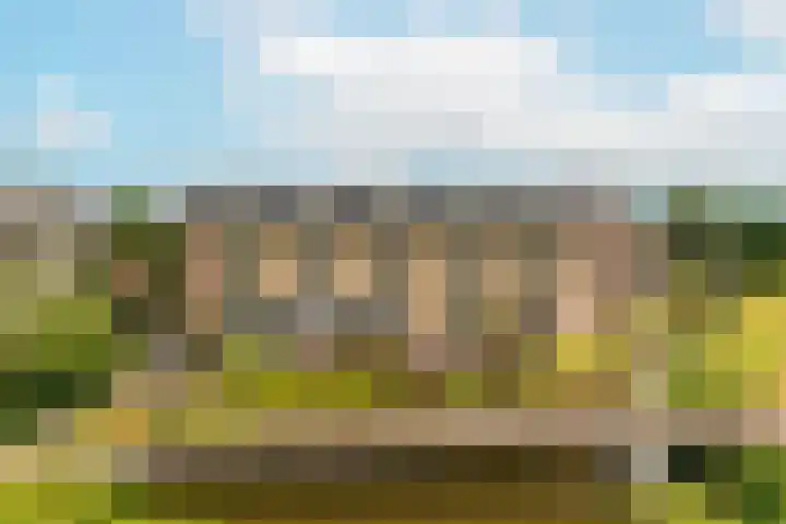 Molenvlietbrink 55 Woerden thumbnail 23