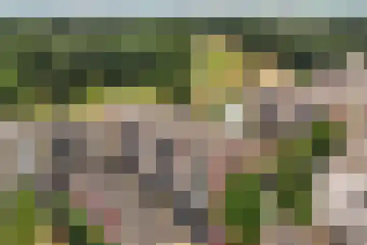 Molenvlietbrink 55 Woerden thumbnail 25