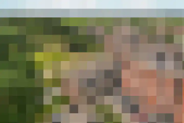 Molenvlietbrink 55 Woerden thumbnail 26