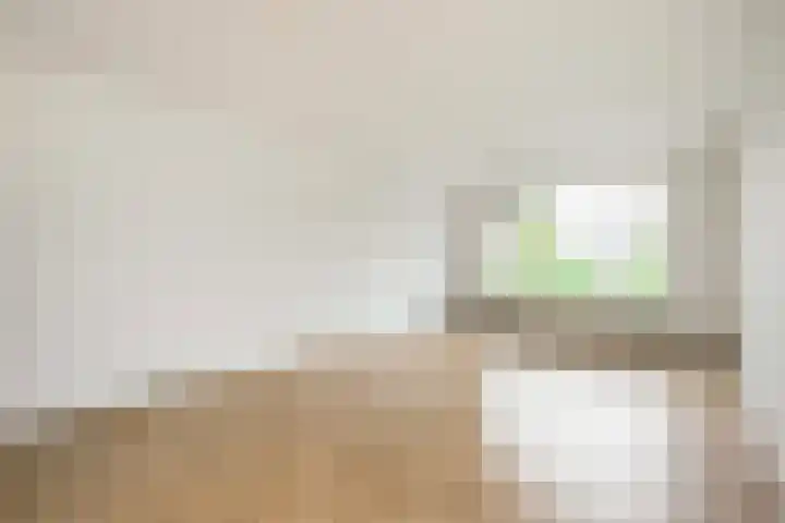 Molenvlietbrink 55 Woerden thumbnail 4