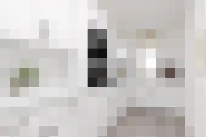 Molenvlietbrink 55 Woerden thumbnail 8