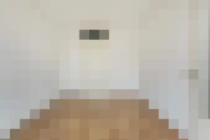 Molenvlietbrink 55 Woerden thumbnail 9