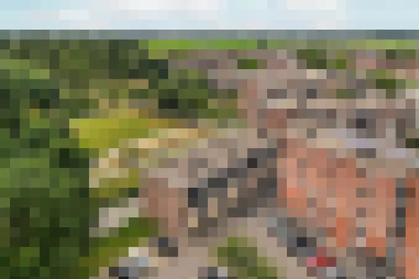 Molenvlietbrink 77 Woerden thumbnail 30