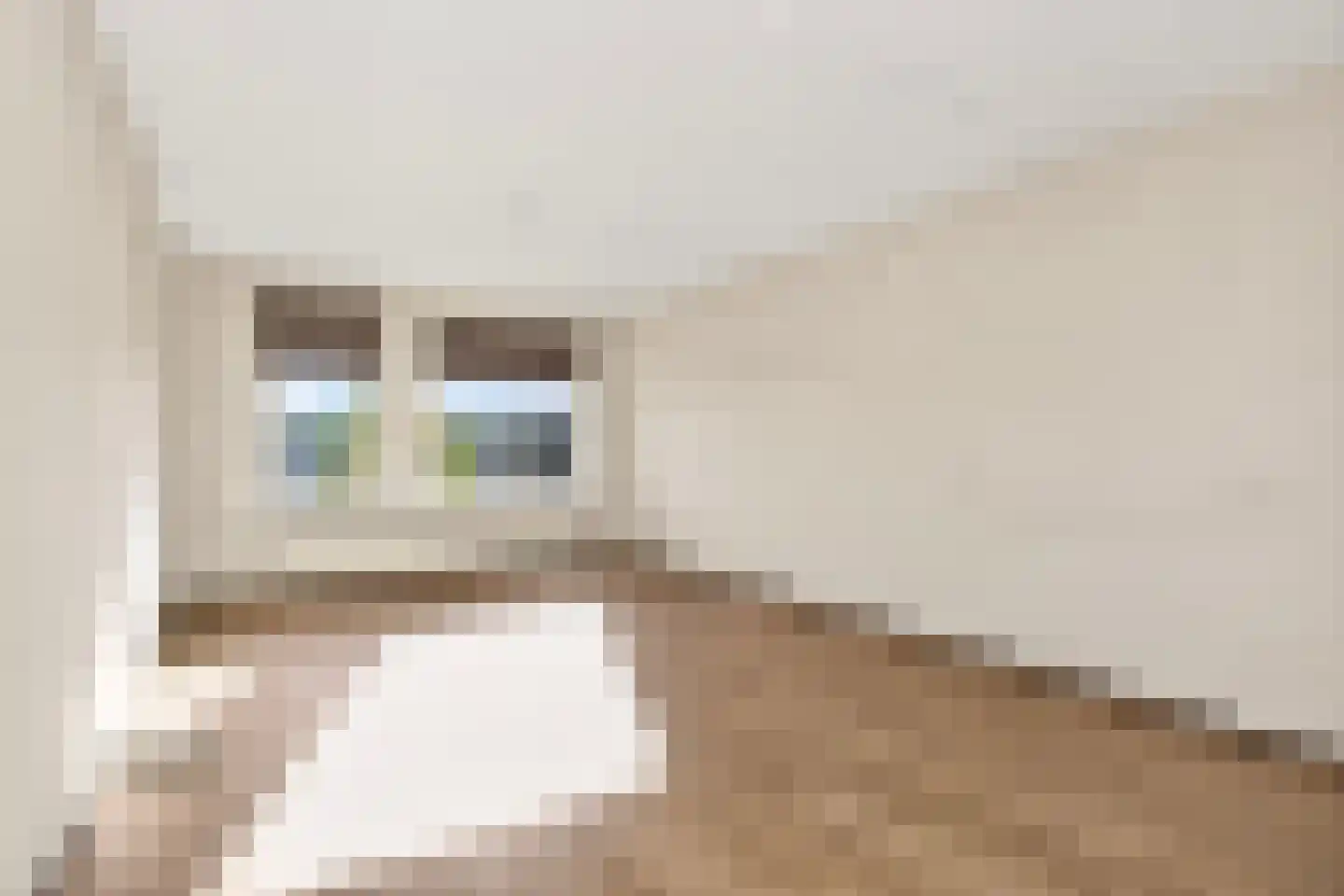 Molenvlietbrink 77 Woerden thumbnail 5
