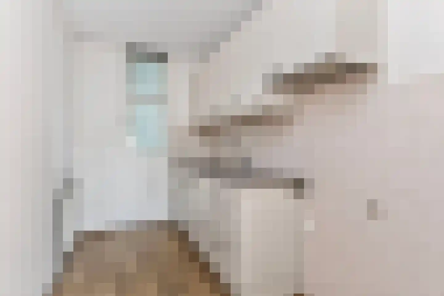 Molenvlietbrink 77 Woerden thumbnail 8