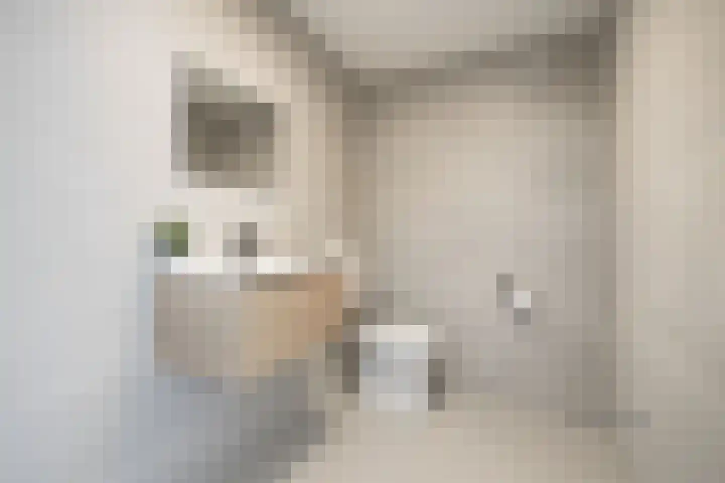 Molenvlietbrink 85 Woerden thumbnail 18