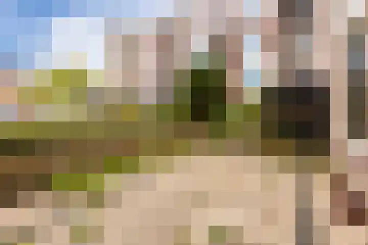 Molenvlietbrink 95 Woerden thumbnail 10