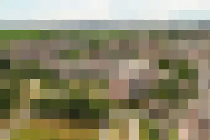 Molenvlietbrink 95 Woerden thumbnail 11