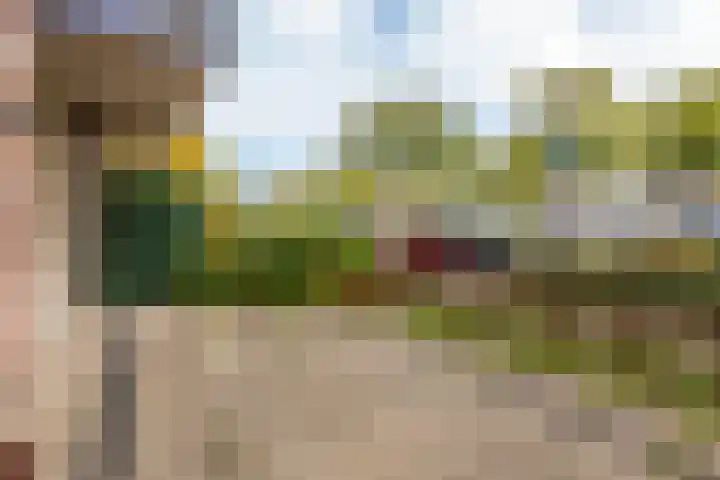 Molenvlietbrink 95 Woerden thumbnail 12