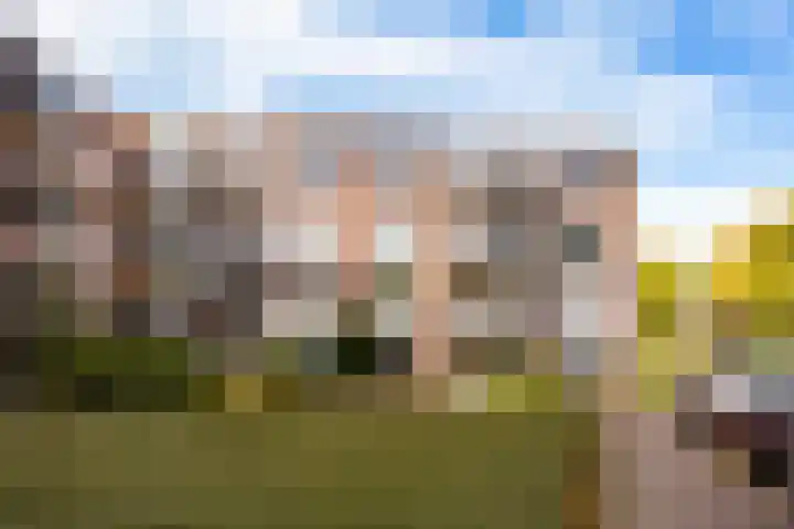 Molenvlietbrink 95 Woerden thumbnail 24