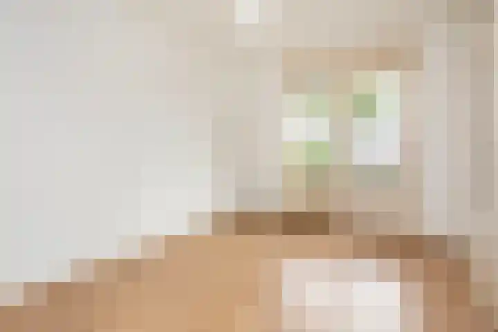Molenvlietbrink 95 Woerden thumbnail 8