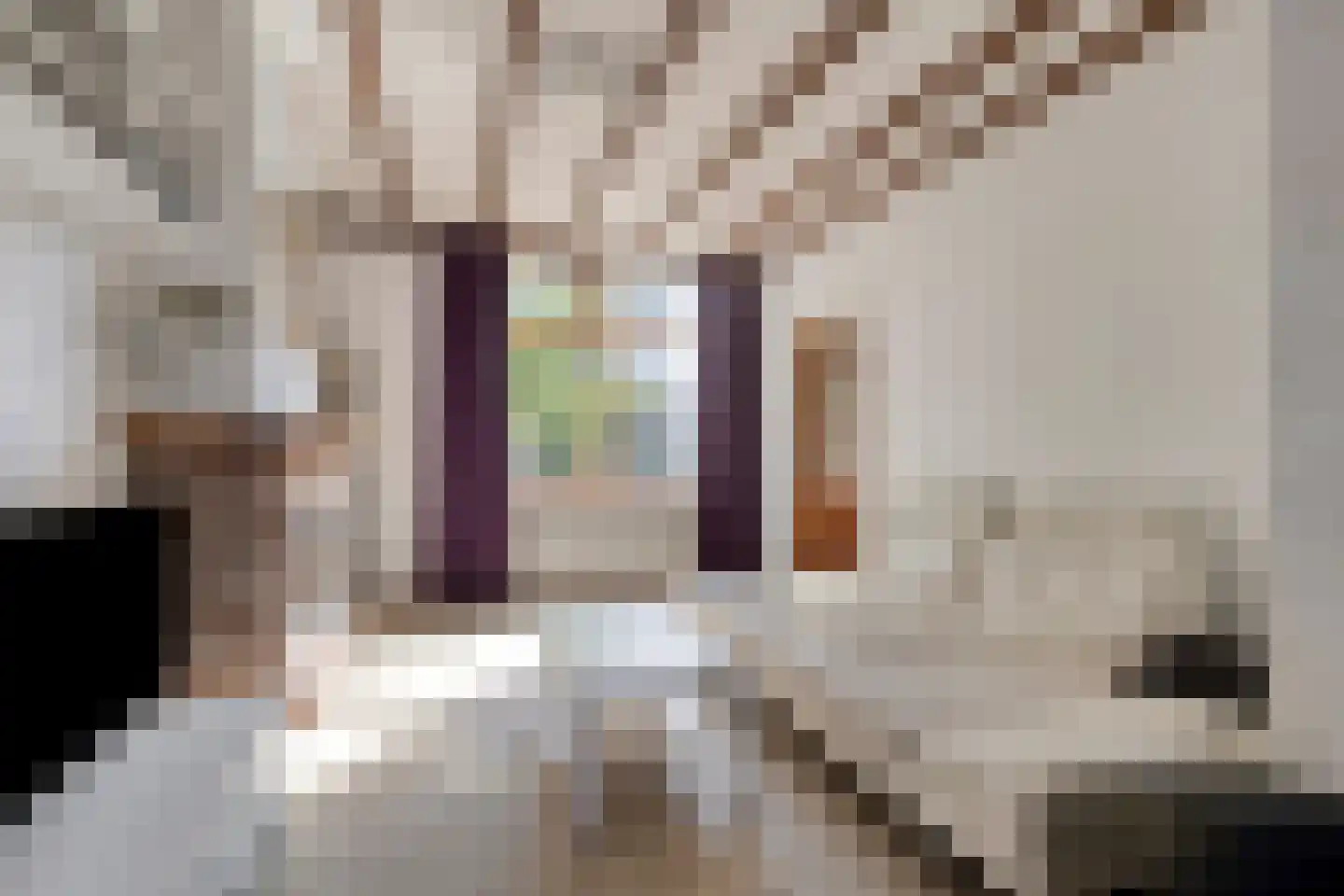 Molenvlietsestraat 13 Tholen thumbnail 10