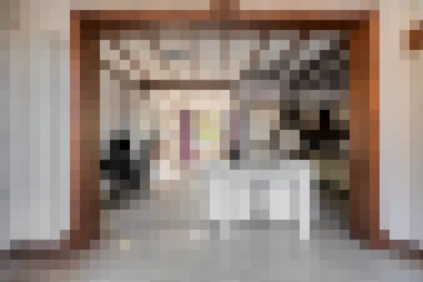 Molenvlietsestraat 13 Tholen thumbnail 12