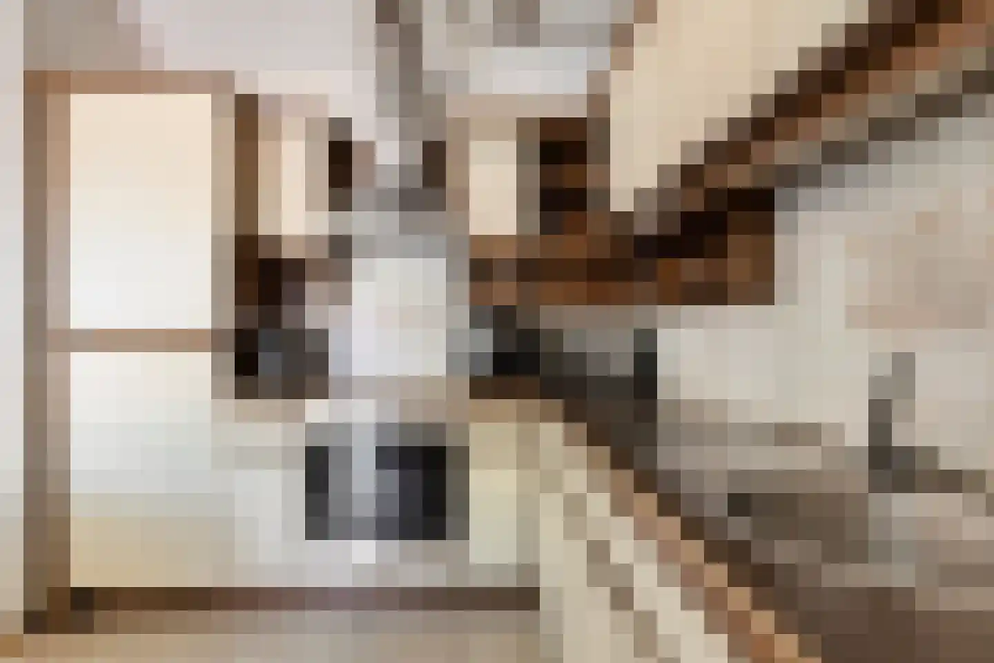 Molenvlietsestraat 13 Tholen thumbnail 14