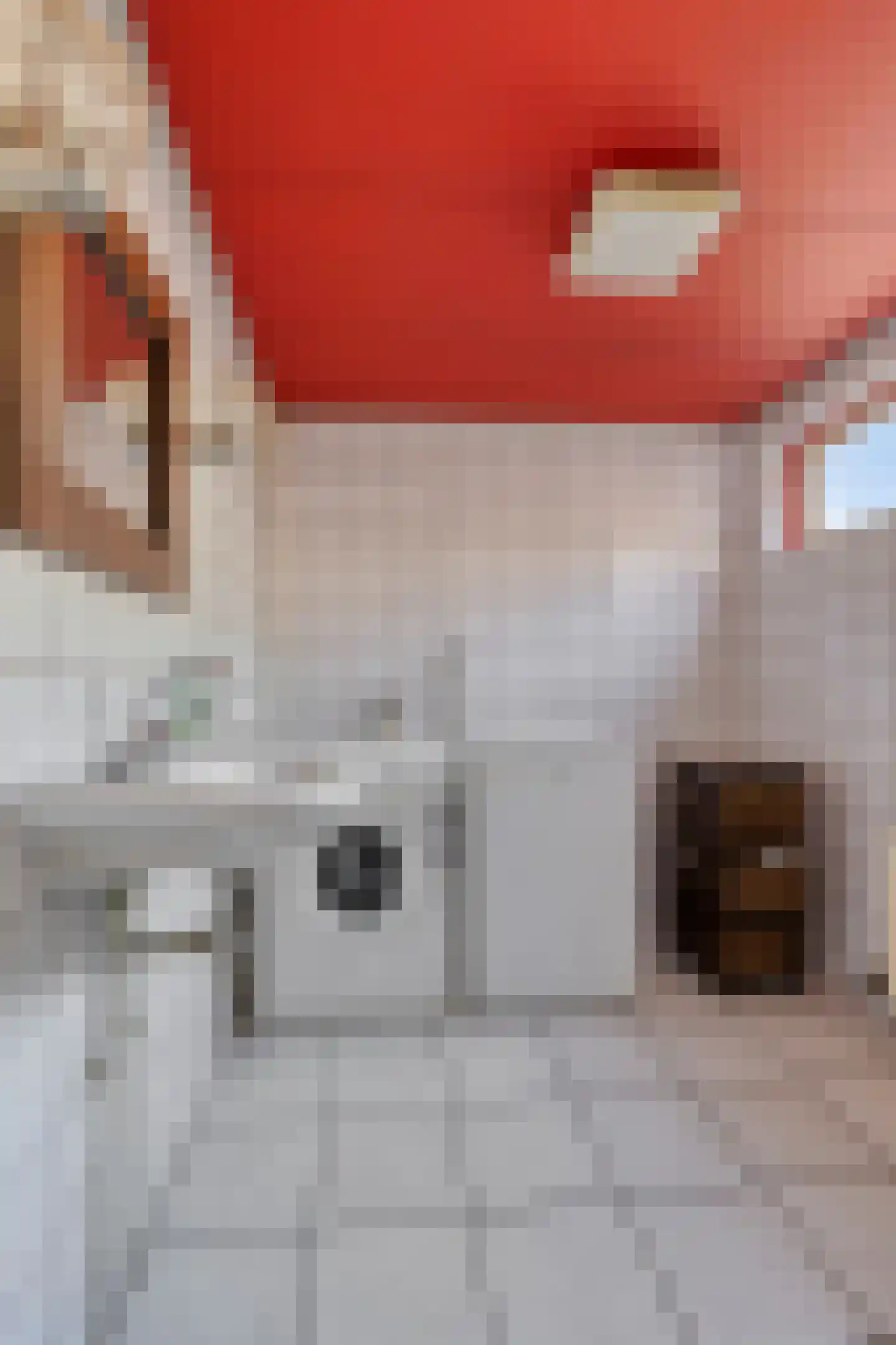 Molenvlietsestraat 13 Tholen thumbnail 18