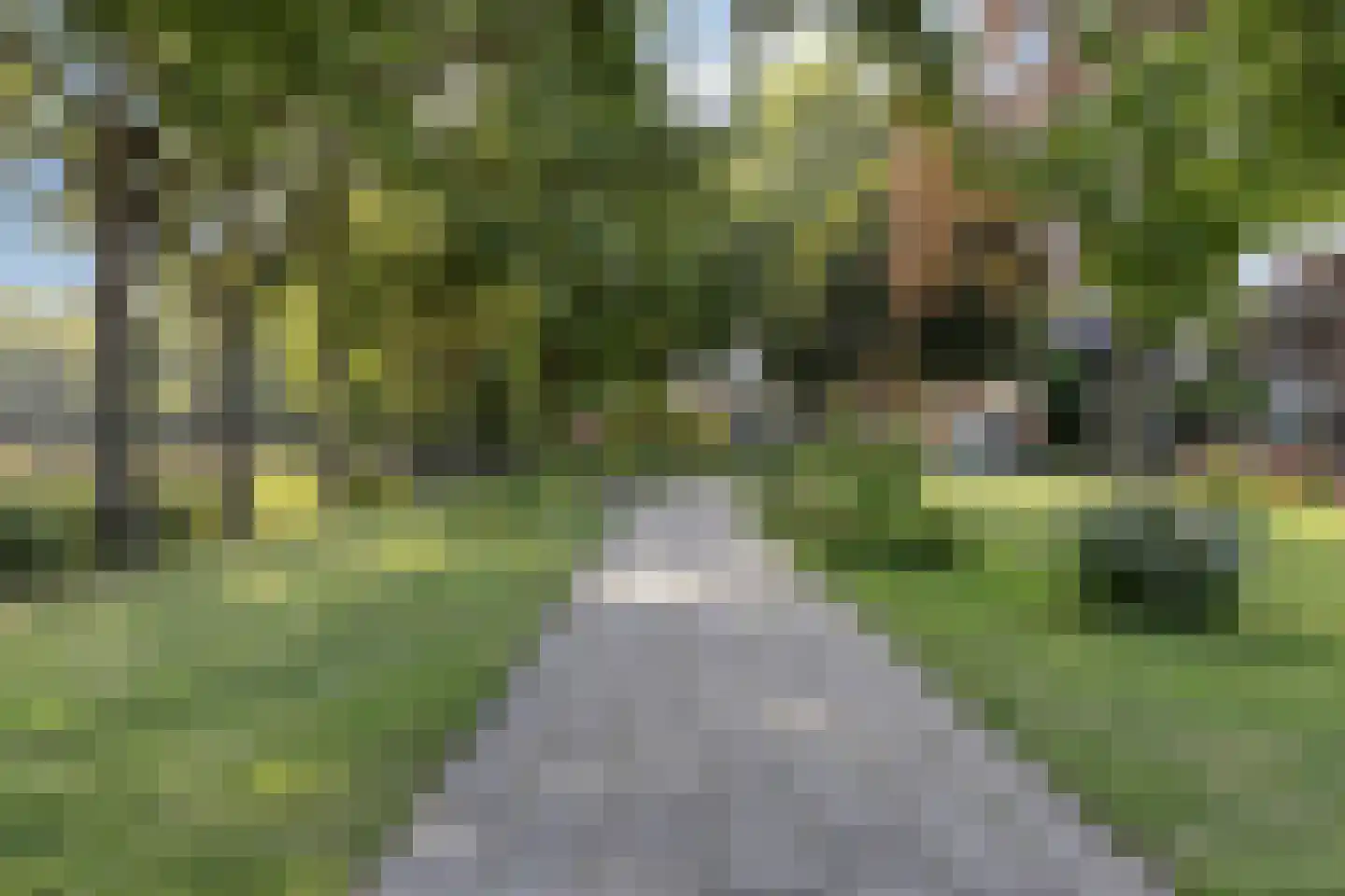 Molenvlietsestraat 13 Tholen thumbnail 37