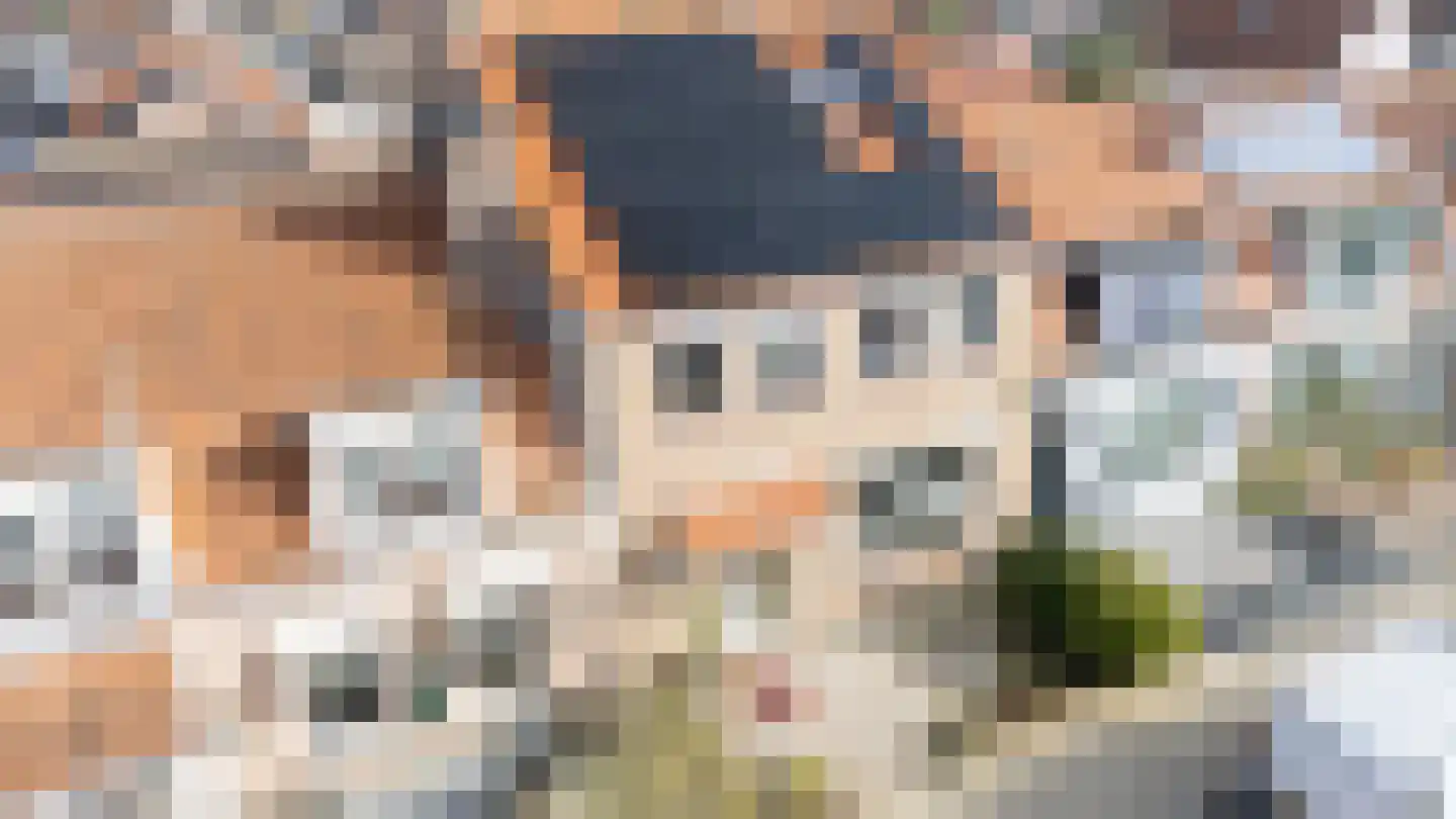 Molenvlietsestraat 26 Tholen