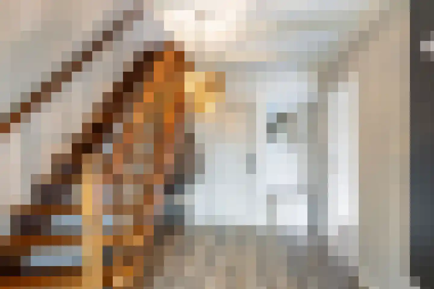 Molenvlietsestraat 26 Tholen thumbnail 12