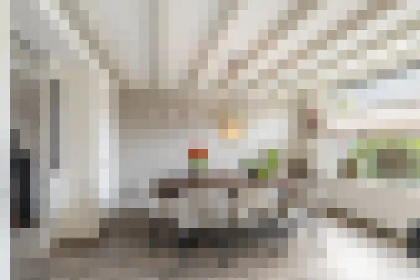 Molenvlietsestraat 26 Tholen thumbnail 14