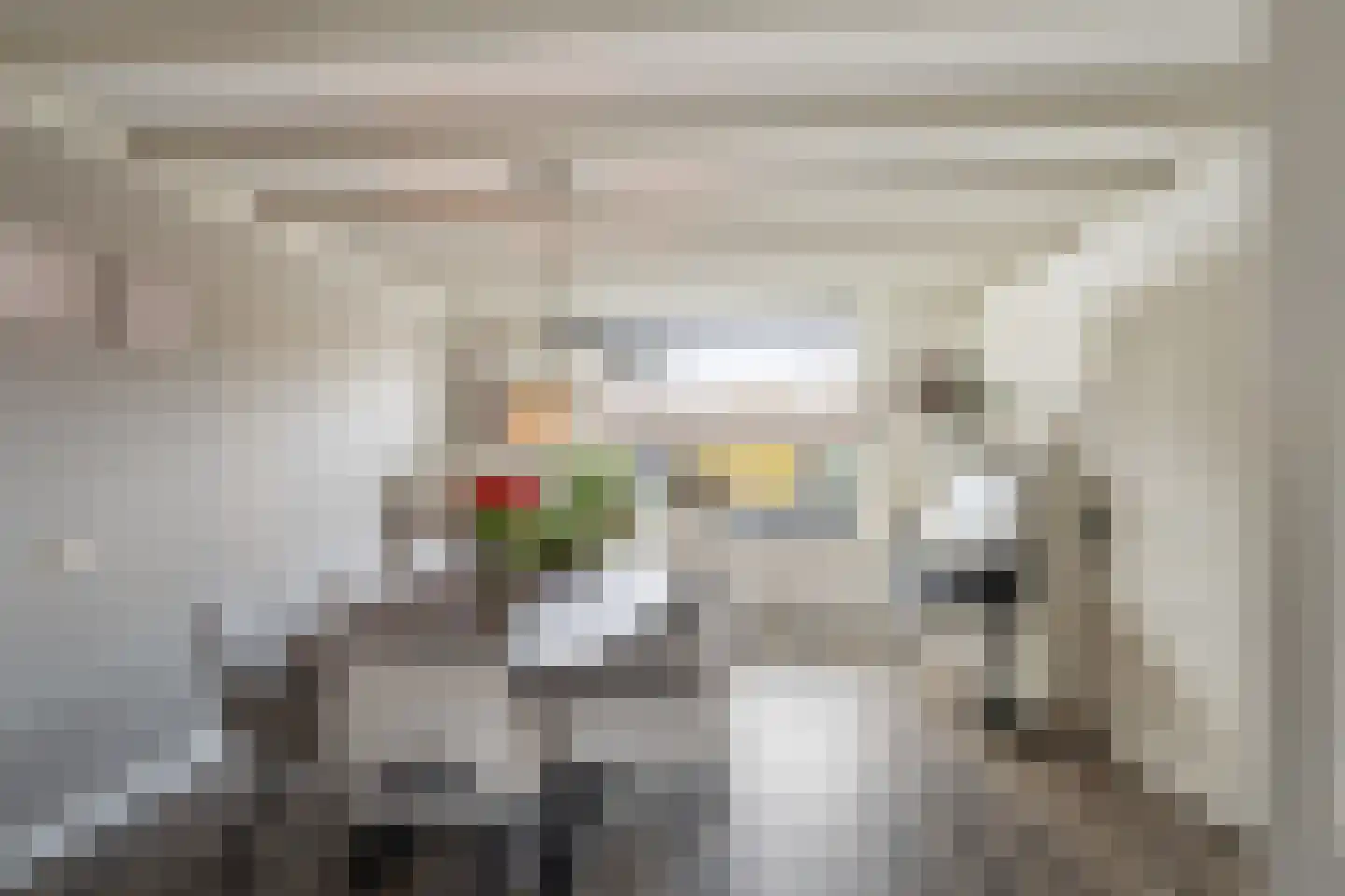 Molenvlietsestraat 26 Tholen thumbnail 15