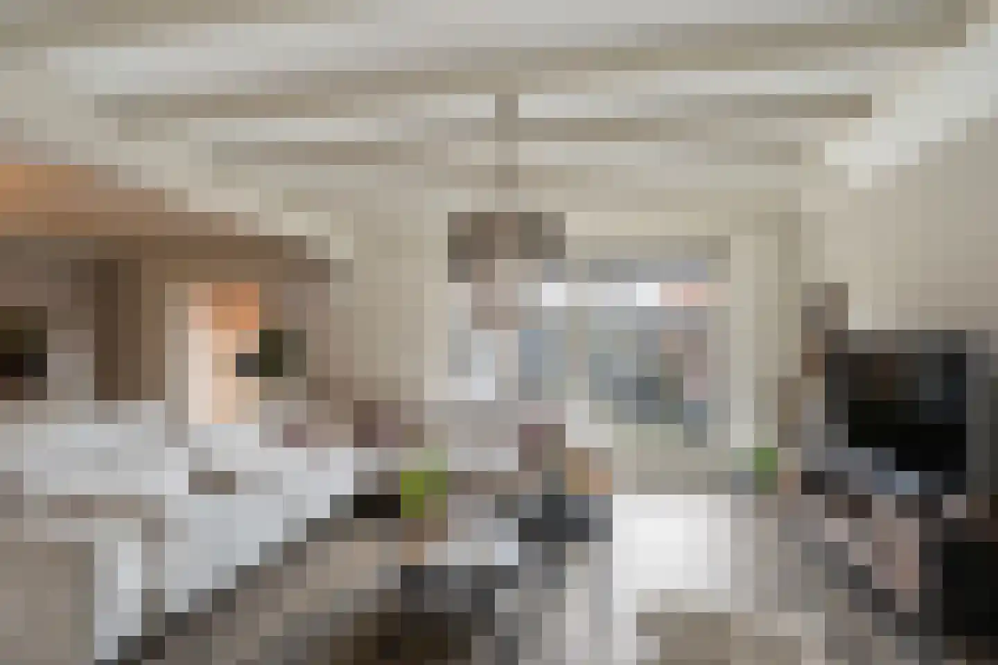 Molenvlietsestraat 26 Tholen thumbnail 18