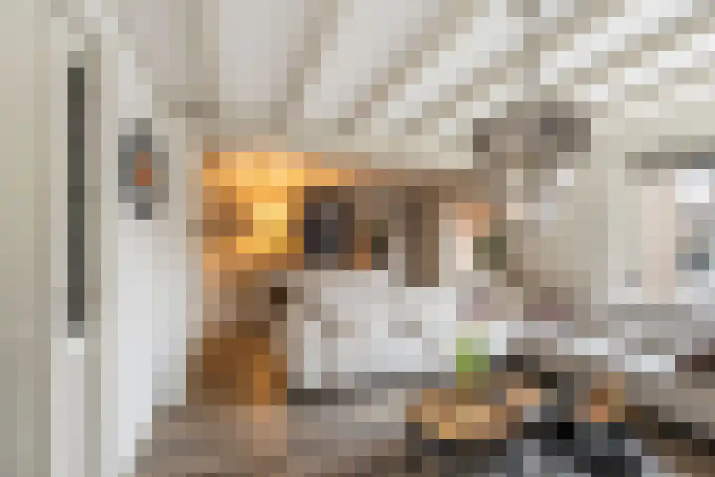 Molenvlietsestraat 26 Tholen thumbnail 19