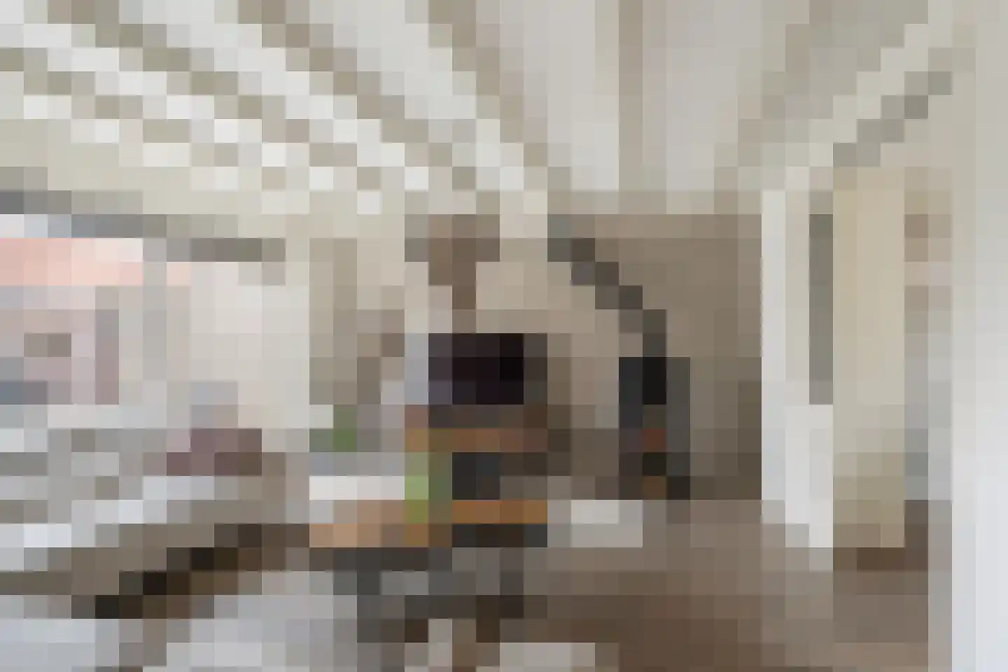 Molenvlietsestraat 26 Tholen thumbnail 20