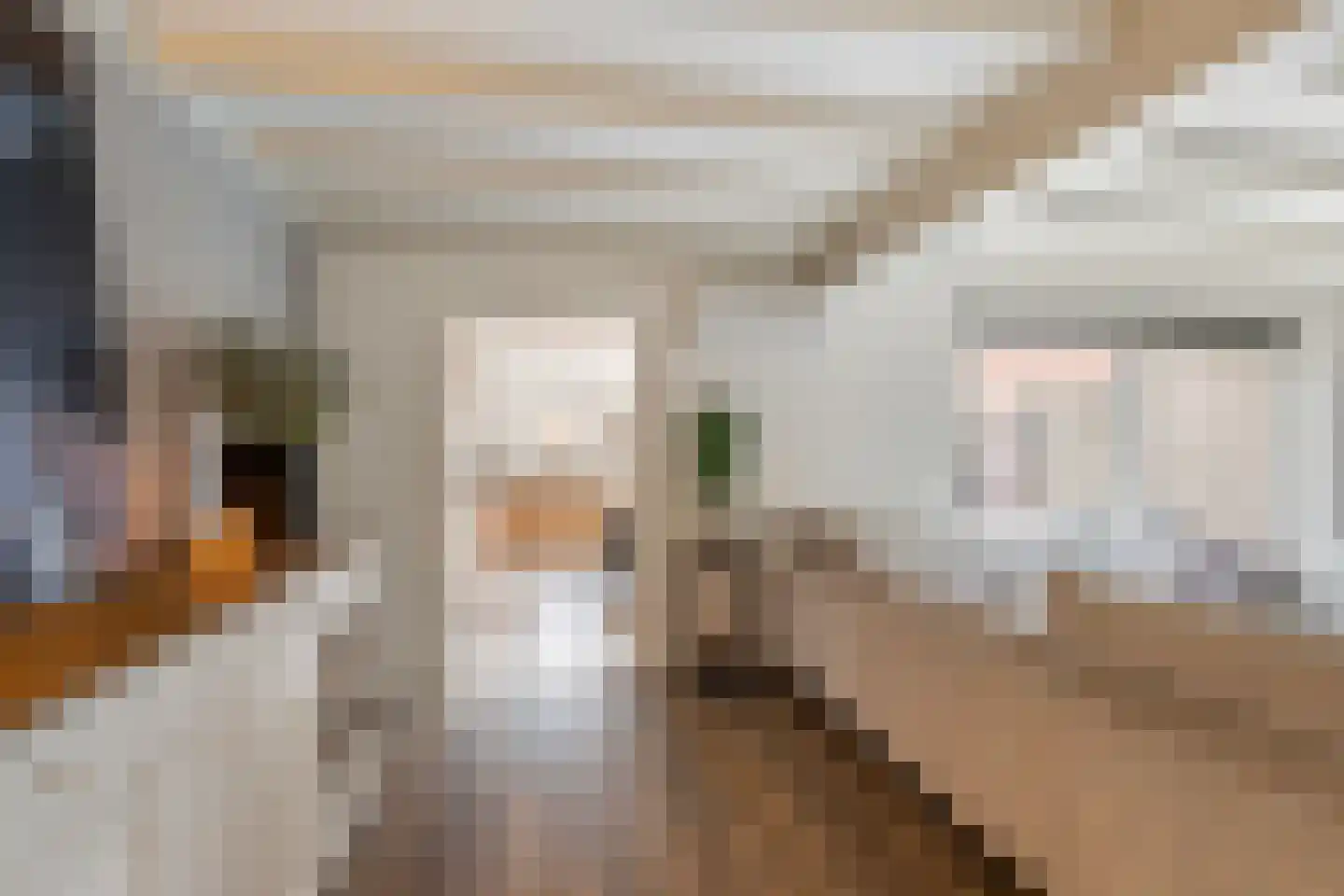Molenvlietsestraat 26 Tholen thumbnail 21