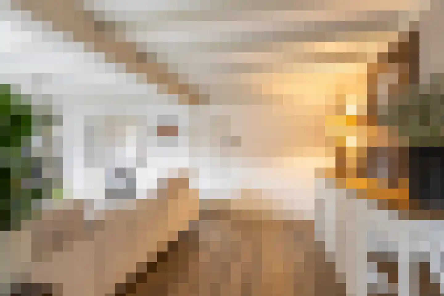 Molenvlietsestraat 26 Tholen thumbnail 22